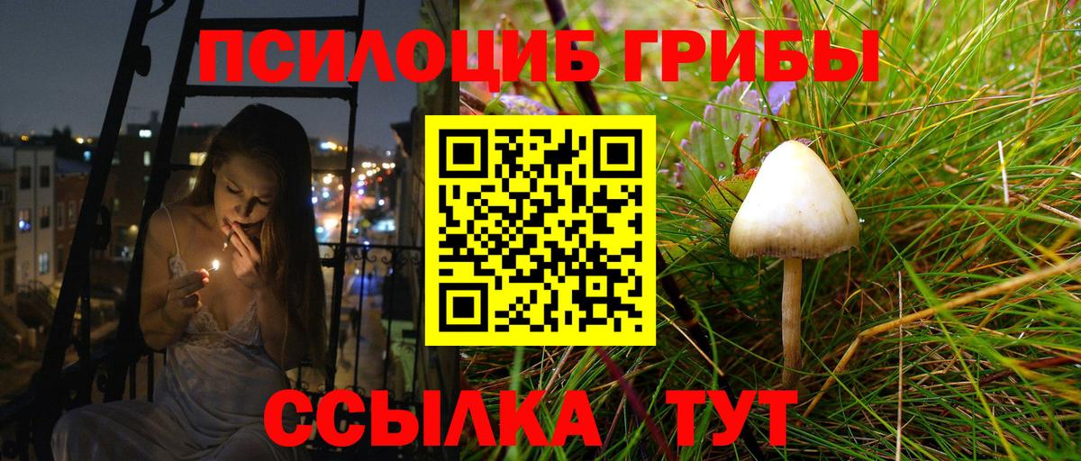 Псилоцибиновые грибы мицелий Ишим