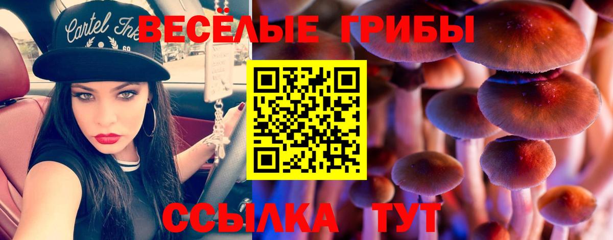 Псилоцибиновые грибы ЛСД  Псилоцибиновые грибы мицелий  купить наркотики сайты  Ишим  Вход с VPN 